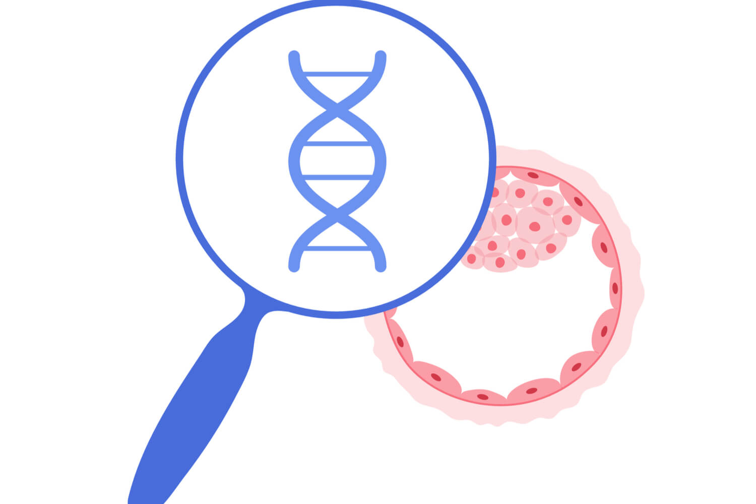 تعیین جنسیت با استفاده از روش PGD 