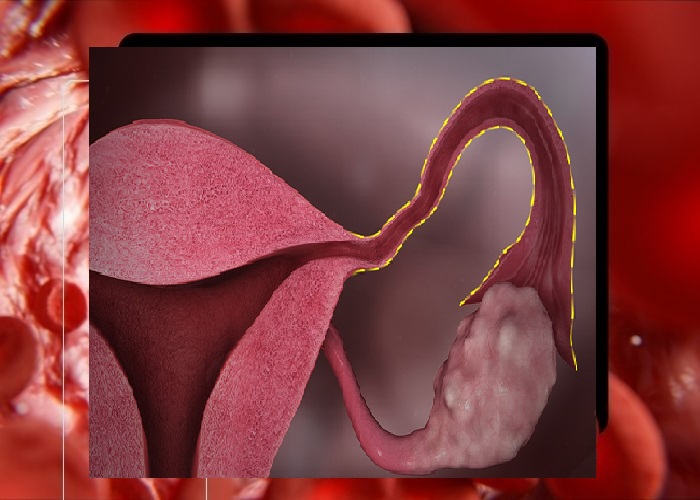 عکس چیز زن واقعی + دستگاه تناسلی زنان + عکس