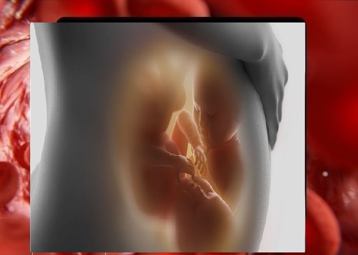 دوقلو باردار شدن براساس ژنتیک