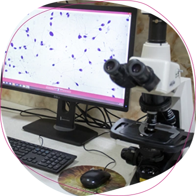 مانیتور اتاق آندولوژی