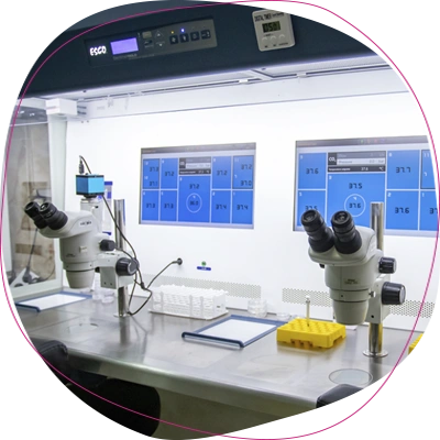 آزمایشگاه جنین شناسی